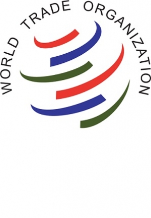 Cam kết gia nhập WTO của Việt Nam trong lĩnh vực thương mại h&agrave;ng h&oacute;a
