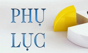 Phụ lục IIIa MẪU C/O MẪU D